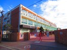 金城小学校(小学校)まで97m サングレース