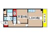 ネオコート塩釜 1LDKの間取り