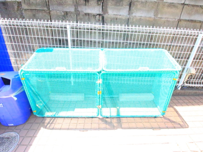 外観写真 フォーブル名光