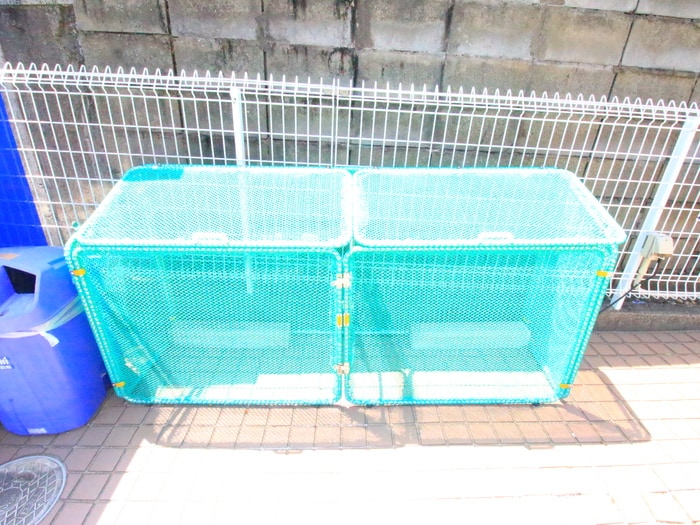 外観写真 フォーブル名光