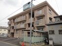 完成写真