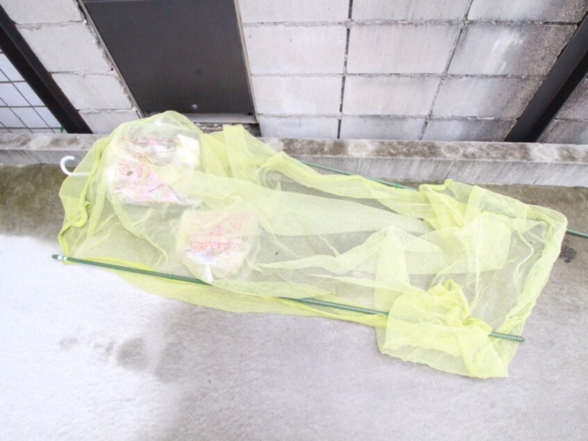 その他 ＣＡＳＡ　ＬＡＲＧＯ