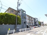 ライフ新緑