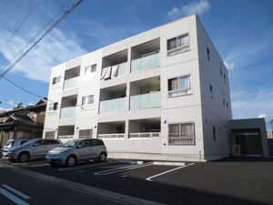 セントポーリア