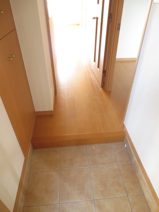 玄関 セントポーリア