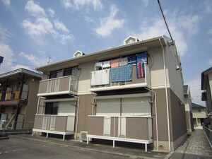 サフラン