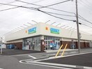 ゲンキー 井ケ谷店(ドラッグストア)まで469m ＷＩＳＴＥＲＩＡうしろだ