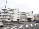辻村外科病院(病院)まで370m ＷＩＳＴＥＲＩＡうしろだ