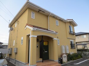 セントポーリア