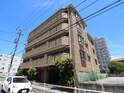 完成写真