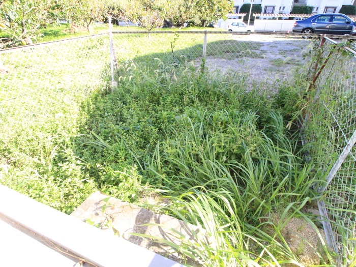 室内からの展望 メゾン６０３