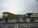 V・drug(ドラッグストア)まで210m サンフレンズＢ