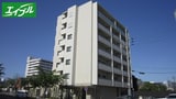 グランマスト白壁