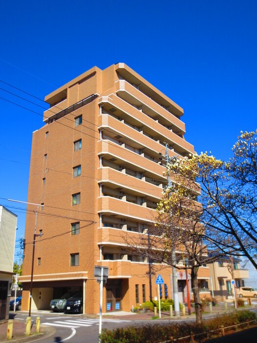 外観写真 コンフォ清水