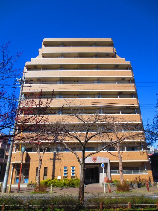 その他 コンフォ清水