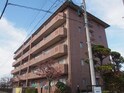 完成写真