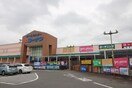 コーナン篠木店(電気量販店/ホームセンター)まで900m ユイマールＴ＆Ｔ