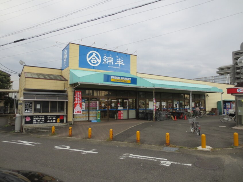 綿半(スーパー)まで740m ポライトリ－・Ｍ