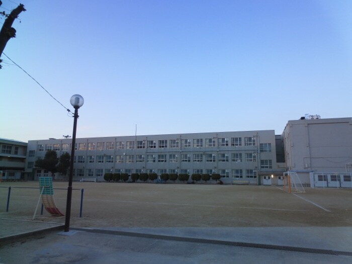 昭和橋小学校(小学校)まで695m ＳＴＡＹ葉池