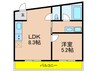 M-54 1LDKの間取り