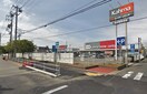 ホームセンター(電気量販店/ホームセンター)まで1000m Patina岩塚