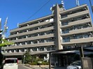 ディオケネスの外観
