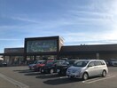 ヤマナカ小田井店(スーパー)まで800m ピアウエスト