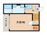 Casa名駅南 1Kの間取り