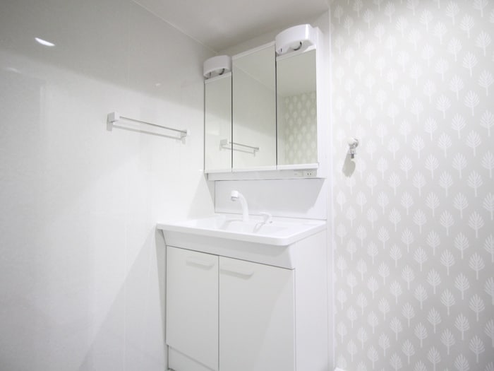 洗面 ハイテック横地