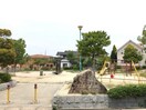 太鼓が根街園(公園)まで171m ｔｙｐｅＮ　Ｂ棟