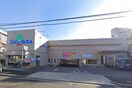 ドラッグスギヤマ白壁店(ドラッグストア)まで240m サムティイ－スト白壁