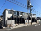 オリーブの外観