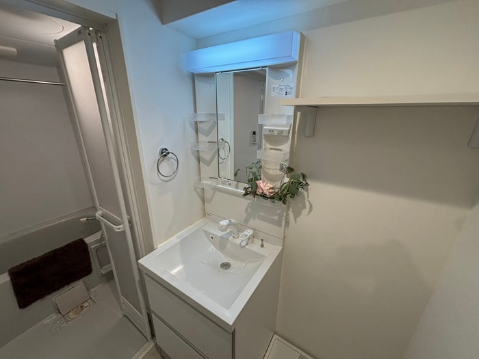 洗面 セイシェル