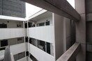 室内からの展望 ソフィア