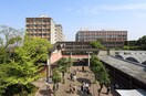 南山大学(大学/短大/専門学校)まで705m パークマンション本山Ｂ棟