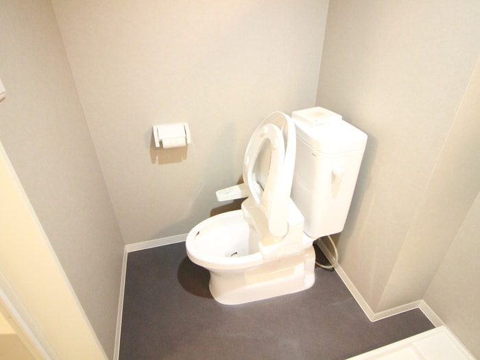 トイレ ルミエール十一番町