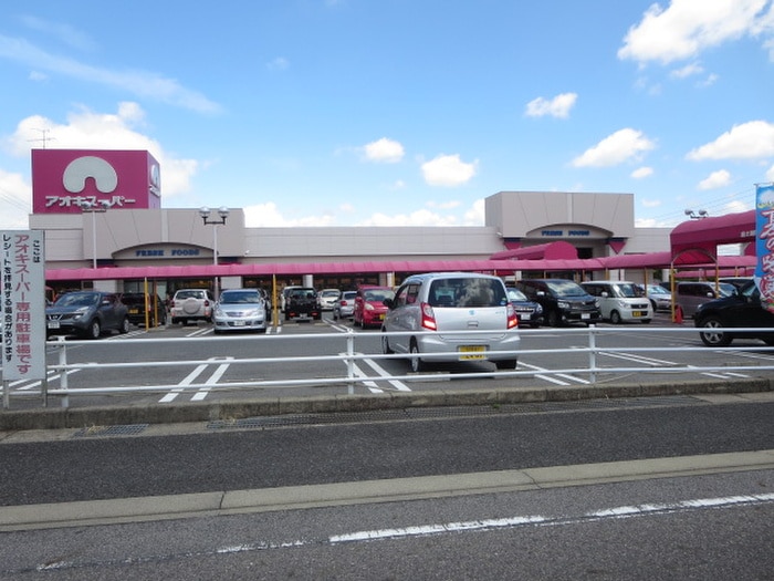 アオキスーパー(スーパー)まで1810m メイプル