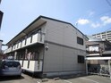 完成写真