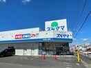 ドラッグスギヤマ　北本地ヶ原(ドラッグストア)まで232m ファミーユ本地ヶ原