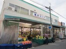 菊井ストア(スーパー)まで120m エスハウス