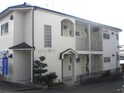 完成写真