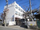 大磯小学校(小学校)まで597m 戸部マンション