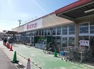 ピアゴ味鋺店(スーパー)まで1100m エクセーラ楠　A棟