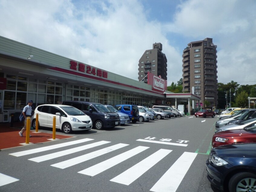 イオン(スーパー)まで691m ドーミー徳川園