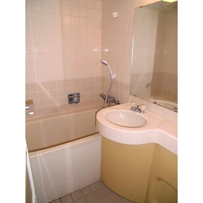 洗面 ﾗｲｵﾝｽﾞﾏﾝｼｮﾝ徳川（209）