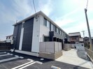ネオハピネスアオシゲの外観