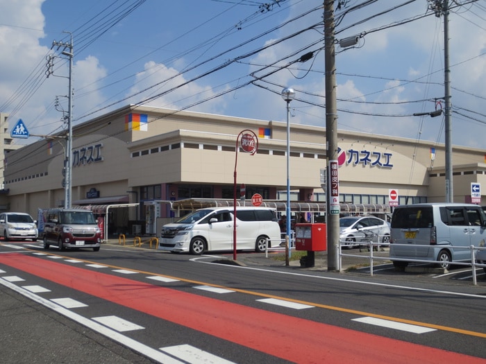 カネスエ(スーパー)まで265m グランツ