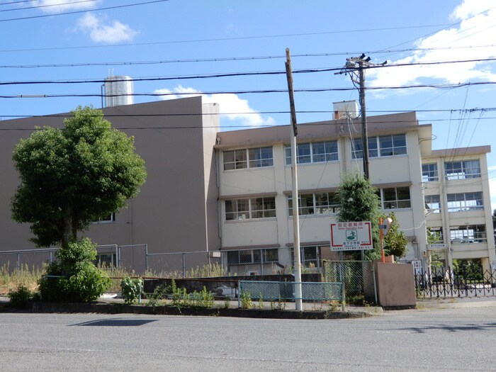 坂下小学校(小学校)まで450m ドルフ