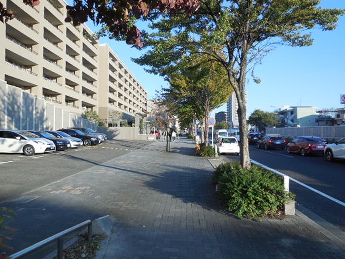 周辺環境 サンシャイン鏡池