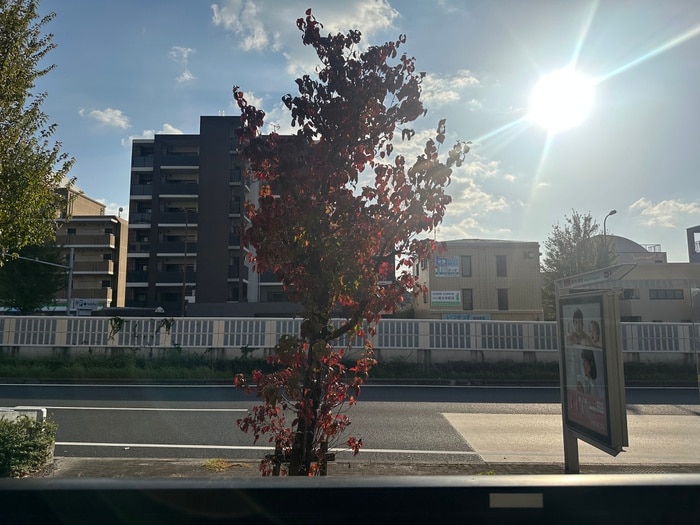 室内からの展望 サンシャイン鏡池